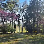 Chateau La Bordette 15mn Toulouse Vue Pyrenees, Piscine ヴィラ