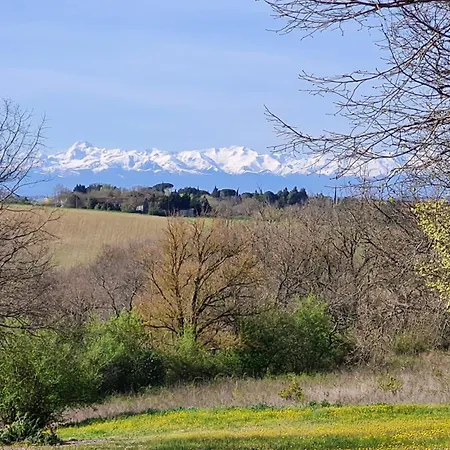 Chateau La Bordette 15mn Toulouse Vue Pyrenees, Piscine *