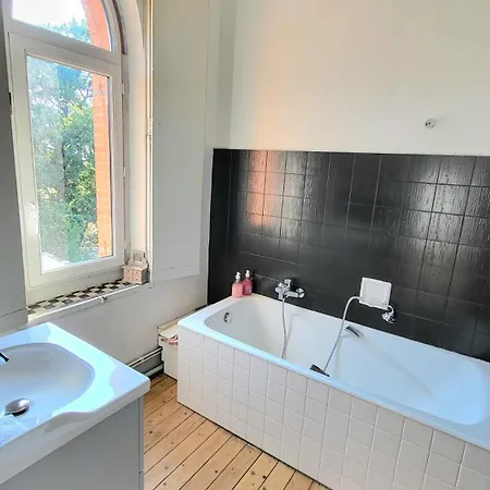 Château La Bordette 15mn Toulouse Vue Pyrénées, Piscine *