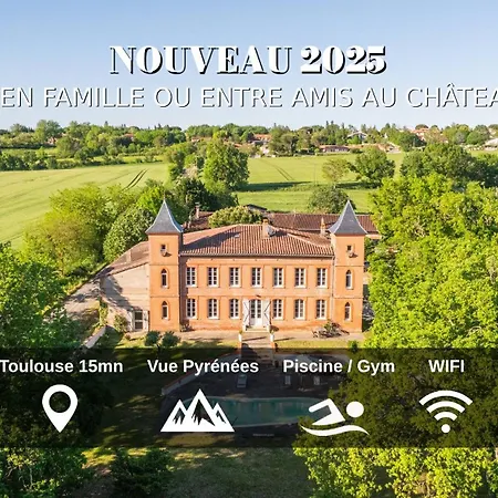 Chateau La Bordette 15mn Toulouse Vue Pyrenees, Piscine